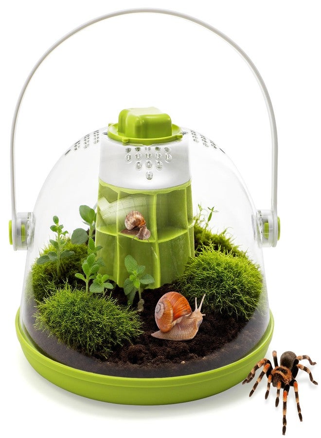 ELFULLY Snail Terrariums Breeding Box, Plastic Round Snail Habitat, Clear Feeding Box with Air Vents & Removable Base, Small Insect Feeding Bin for Beetles Spiders Ladybugs, Starter Terrarium Kit - Image 1